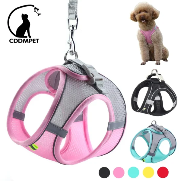 Adjustable Dog Harness for Small Dogs